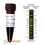 [DM2360] FluoroBand™ 100 bp+3K Fluorescent DNA Ladder, 500 μl