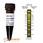 [DM2160] FluoroBand™ 100 bp Fluorescent DNA Ladder, 500 μl