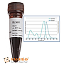 [DL5001] FluoroDye™ DNA Fluorescent Loading Dye (Green, 6X), 1 ml x 5
